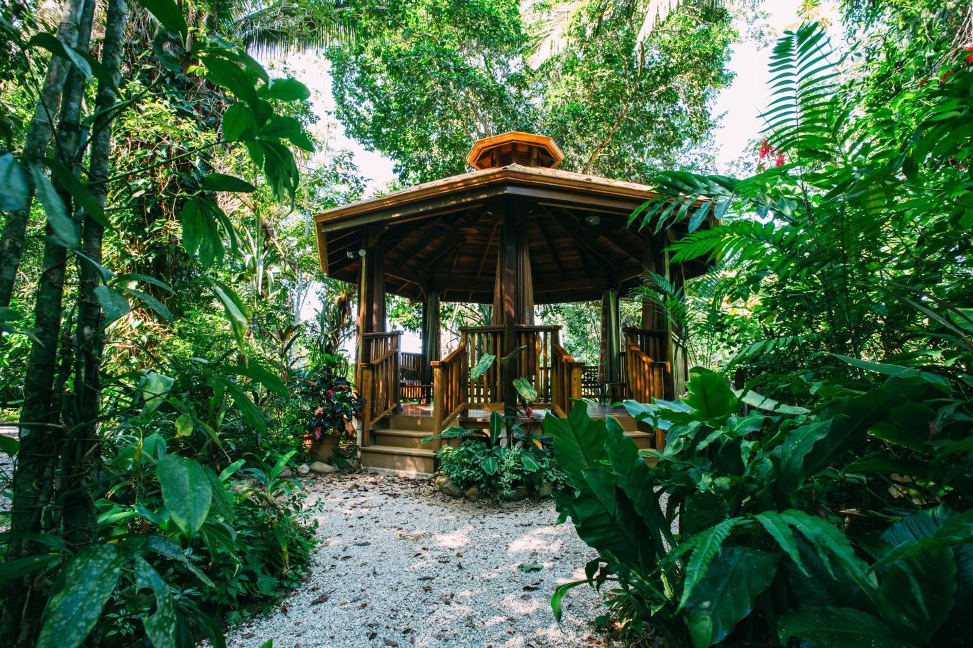 Ian Anderson Caves Branch Jungle Lodge Belmopan Exteriör bild