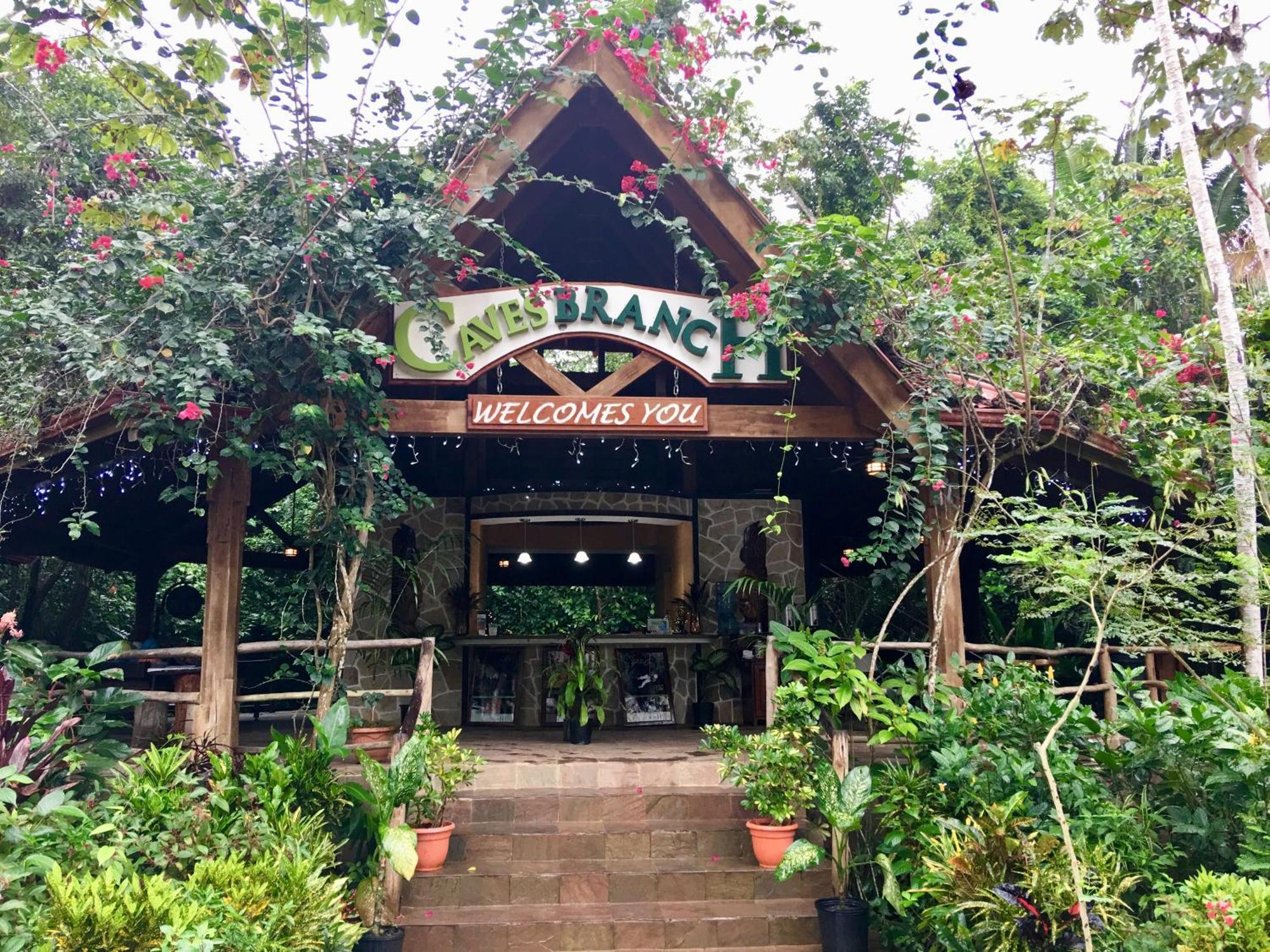 Ian Anderson Caves Branch Jungle Lodge Belmopan Exteriör bild