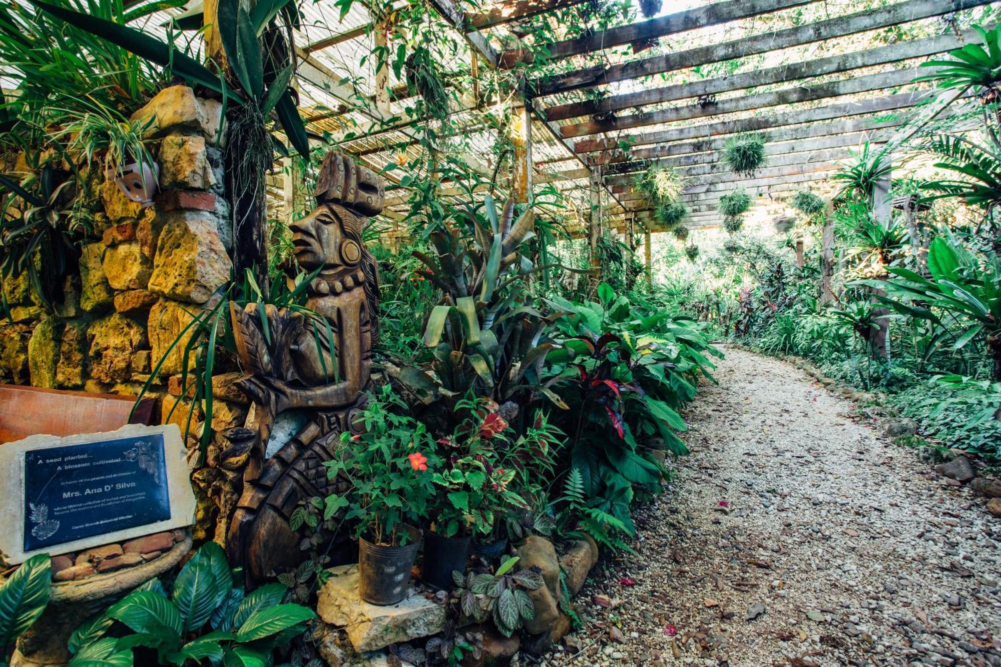 Ian Anderson Caves Branch Jungle Lodge Belmopan Exteriör bild