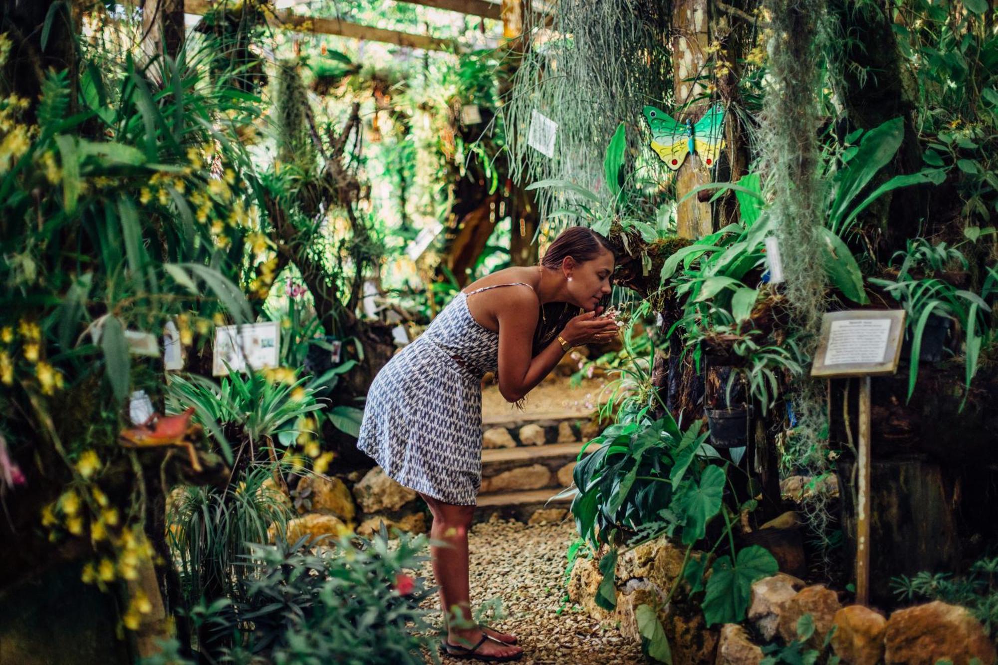 Ian Anderson Caves Branch Jungle Lodge Belmopan Exteriör bild